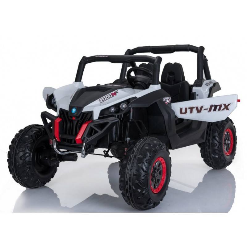 Four wheel drive buggy outlet